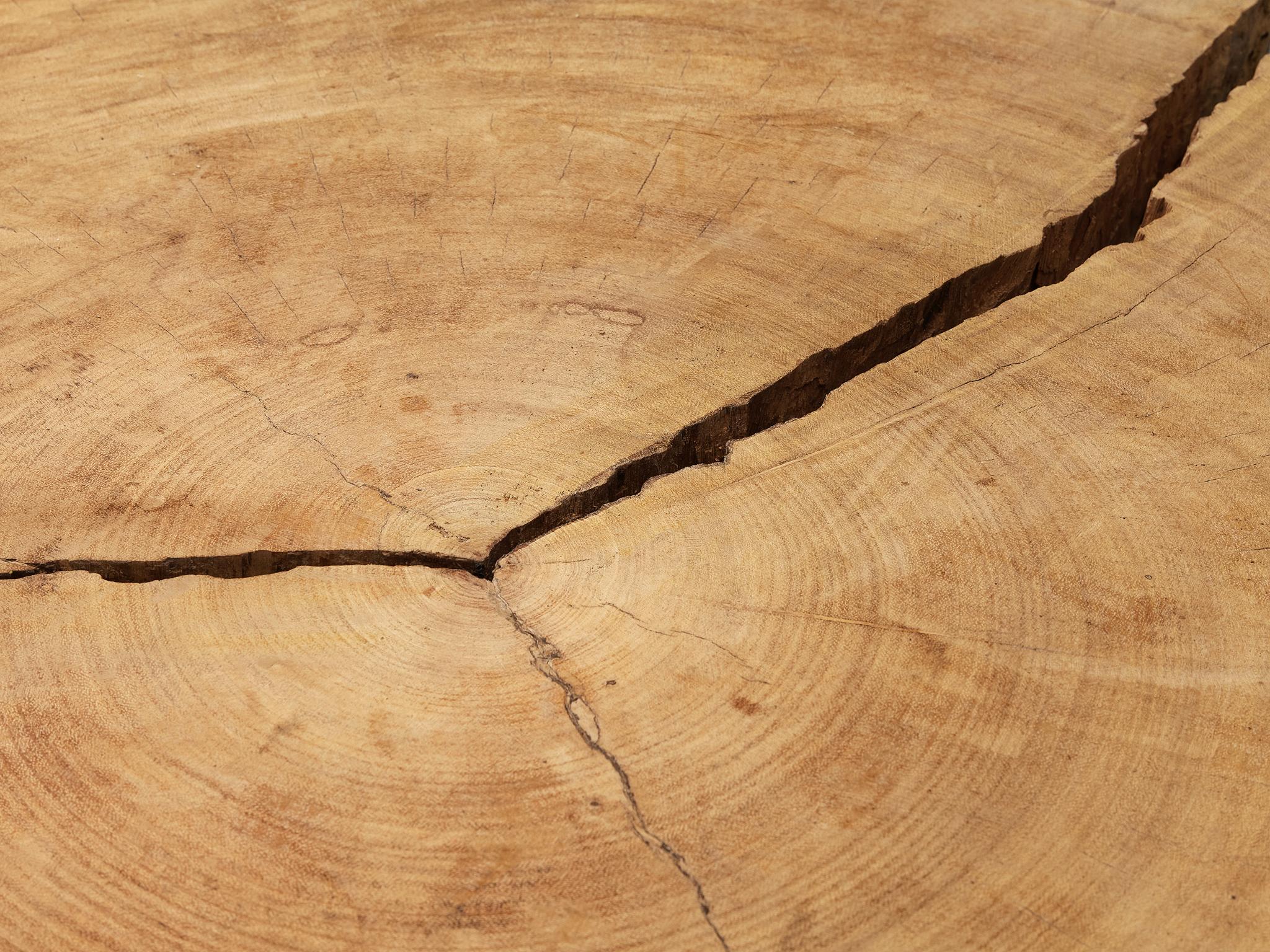 Unique José  Zanine Caldas 'Denuncia' Hand Carved Dining Table