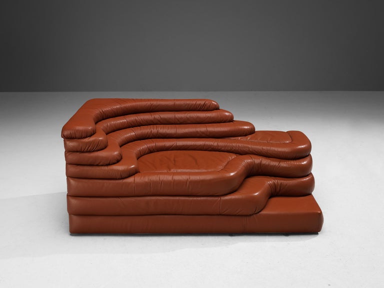 Ubald Klug for De Sede 'Terrazza' Landscape in Red Brown Leather