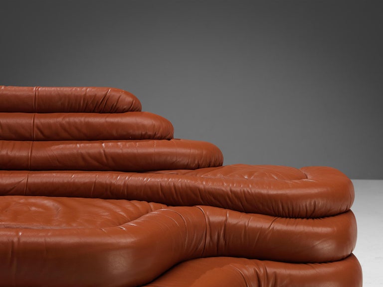 Ubald Klug for De Sede 'Terrazza' Landscape in Red Brown Leather