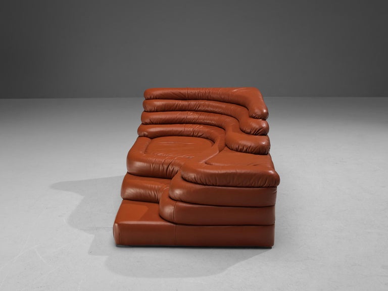 Ubald Klug for De Sede 'Terrazza' Landscape in Red Brown Leather