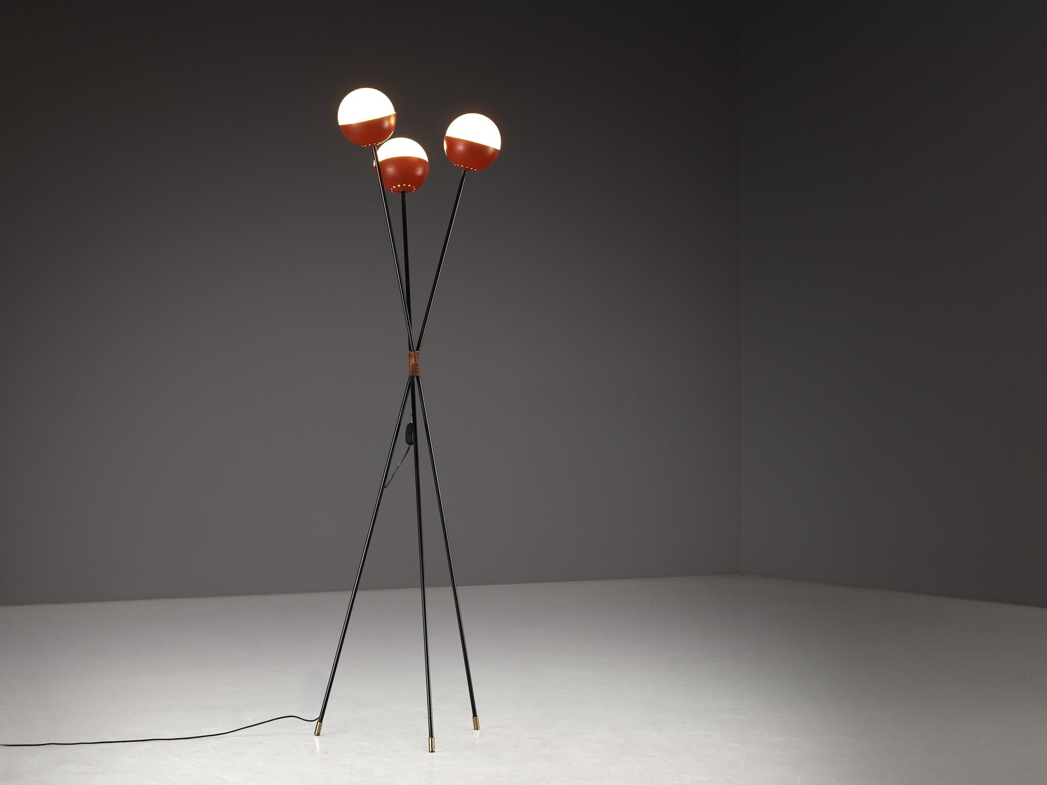 Angelo Brotto for Esperia Floor Lamp in Metal, Opaline Glass and Cane