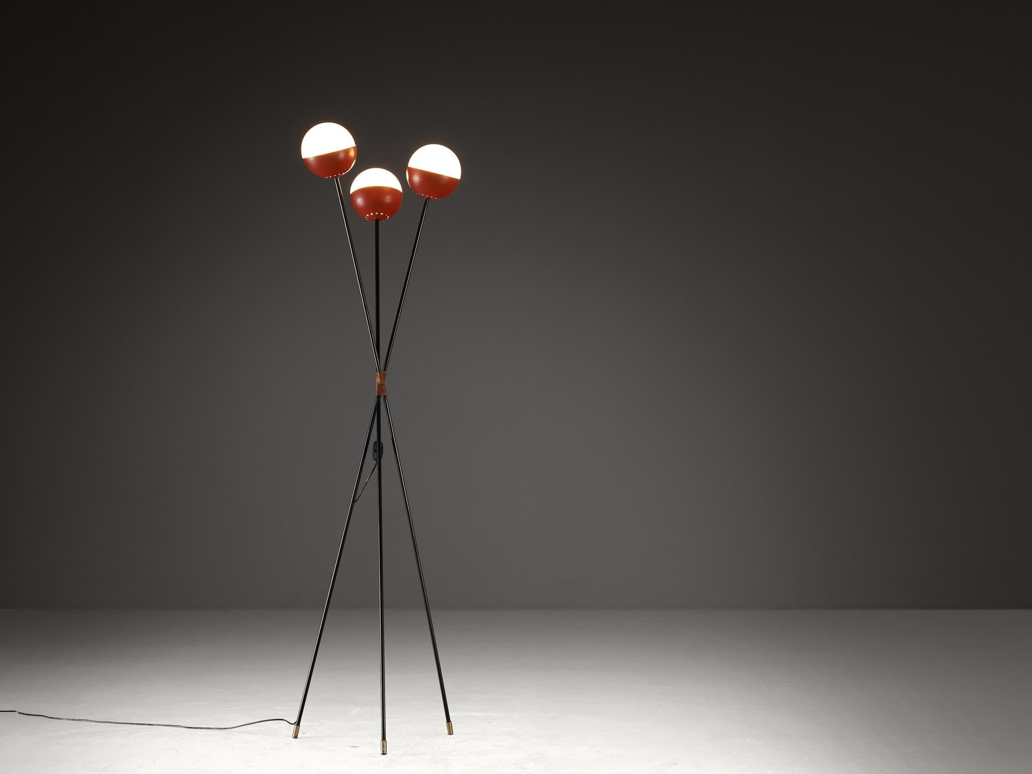 Angelo Brotto for Esperia Floor Lamp in Metal, Opaline Glass and Cane