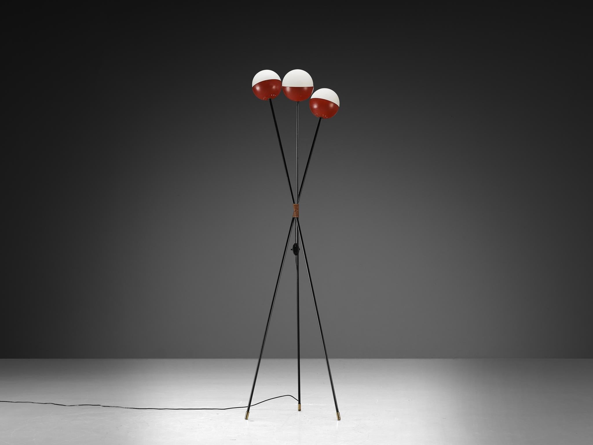 Angelo Brotto for Esperia Floor Lamp in Metal, Opaline Glass and Cane