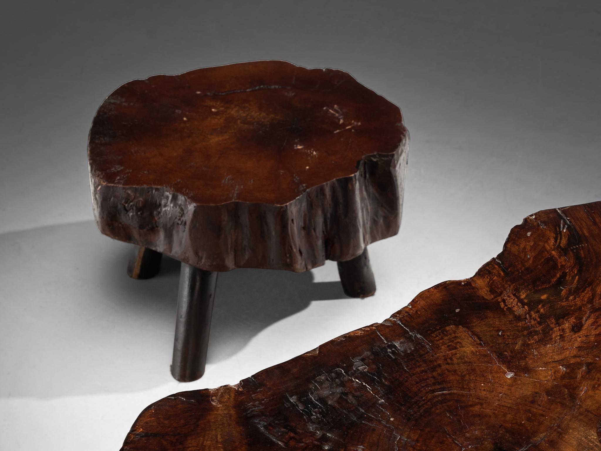 Naturalistic Tree Slab Low Table and Stools