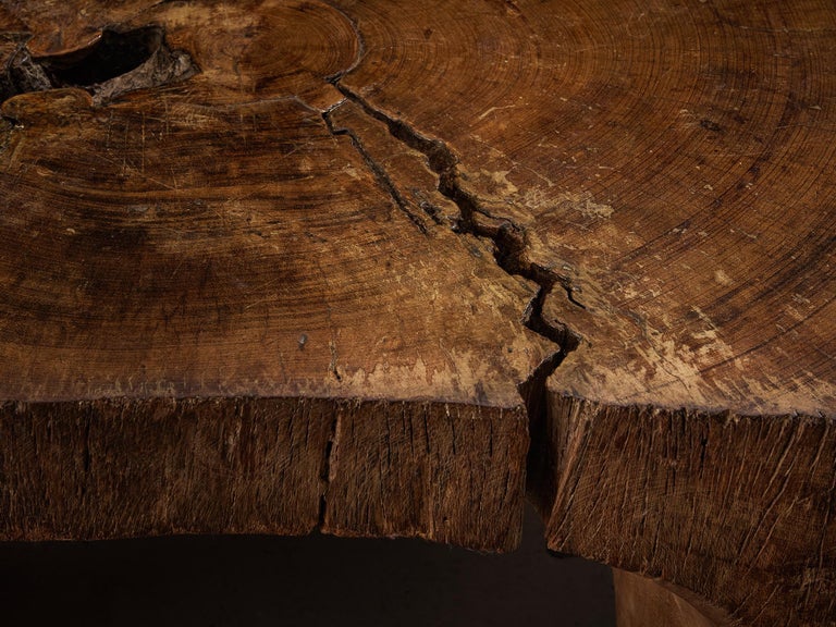 José Zanine Caldas Hand-Carved Coffee Table in Brazilian Hardwood