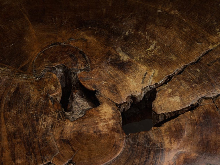 José Zanine Caldas Hand-Carved Coffee Table in Brazilian Hardwood